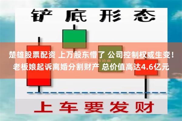 楚雄股票配资 上万股东懵了 公司控制权或生变！老板娘起诉离婚分割财产 总价值高达4.6亿元