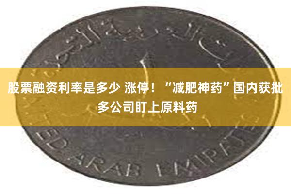 股票融资利率是多少 涨停！“减肥神药”国内获批 多公司盯上原料药