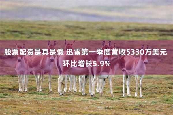 股票配资是真是假 迅雷第一季度营收5330万美元 环比增长5.9%