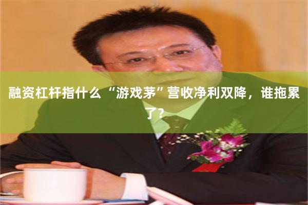 融资杠杆指什么 “游戏茅”营收净利双降，谁拖累了？