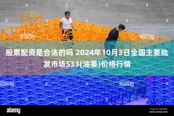 股票配资是合法的吗 2024年10月3日全国主要批发市场S33(油葵)价格行情