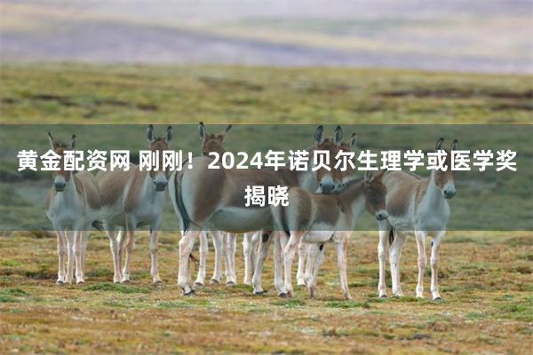 黄金配资网 刚刚！2024年诺贝尔生理学或医学奖揭晓