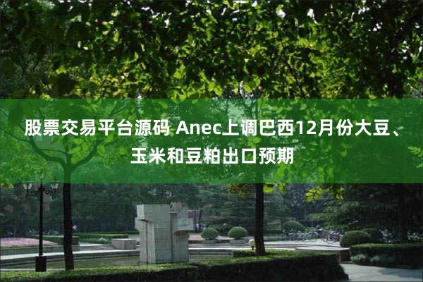 股票交易平台源码 Anec上调巴西12月份大豆、玉米和豆粕出口预期