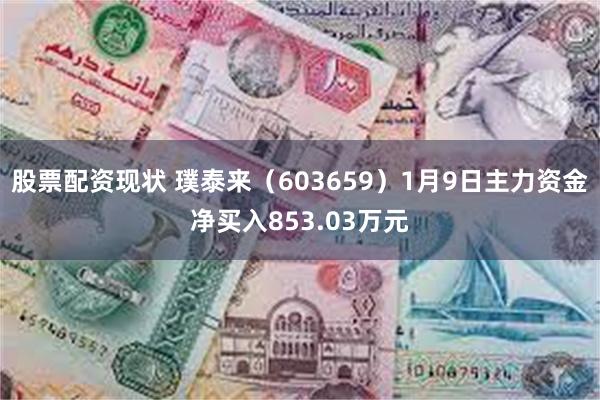 股票配资现状 璞泰来（603659）1月9日主力资金净买入853.03万元