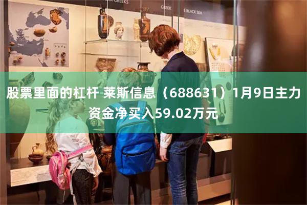 股票里面的杠杆 莱斯信息（688631）1月9日主力资金净买入59.02万元