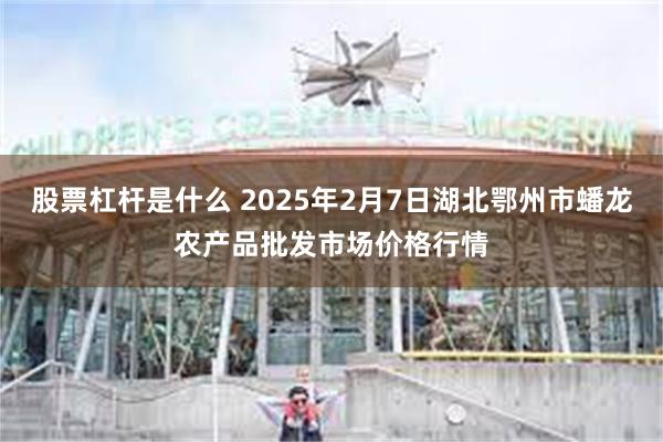 股票杠杆是什么 2025年2月7日湖北鄂州市蟠龙农产品批发市场价格行情