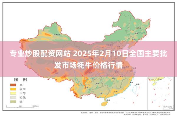 专业炒股配资网站 2025年2月10日全国主要批发市场牦牛价格行情