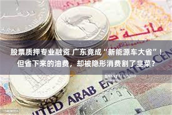 股票质押专业融资 广东竟成“新能源车大省”！但省下来的油费，却被隐形消费割了韭菜？
