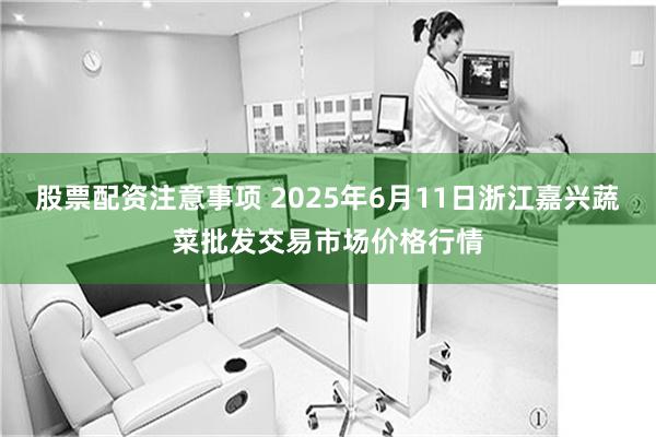 股票配资注意事项 2025年6月11日浙江嘉兴蔬菜批发交易市场价格行情