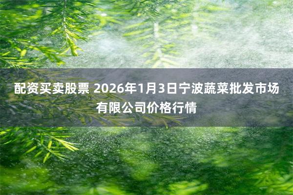 配资买卖股票 2026年1月3日宁波蔬菜批发市场有限公司价格行情